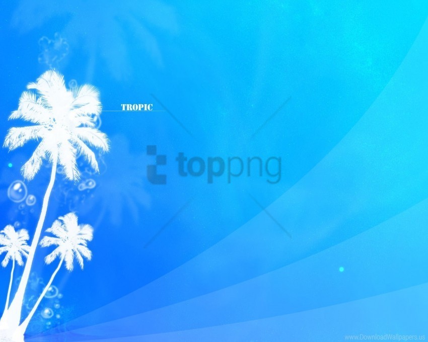 abstract tropic wallpaper Transparent PNG images set