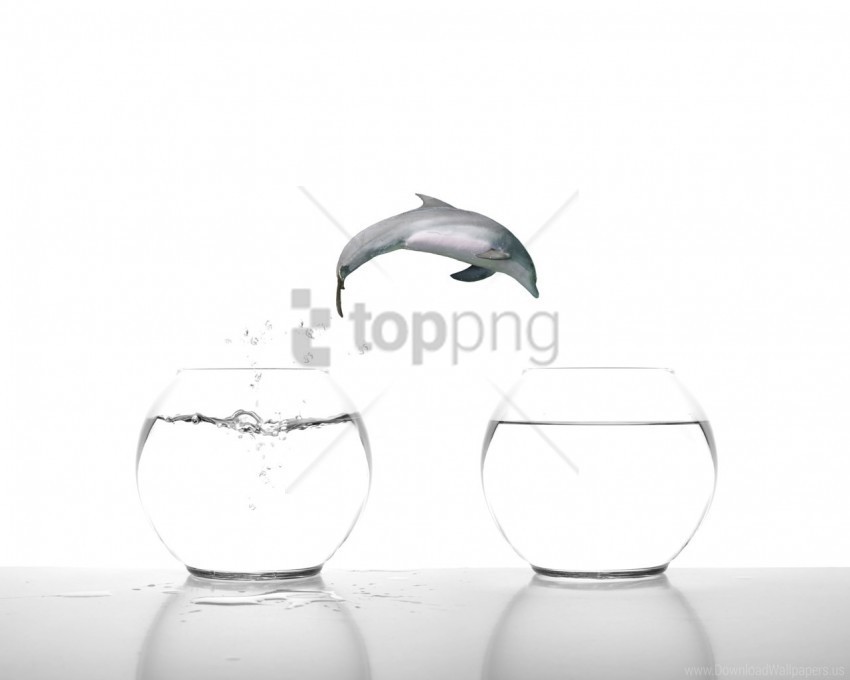 aquarium fish jump water wallpaper PNG transparent backgrounds