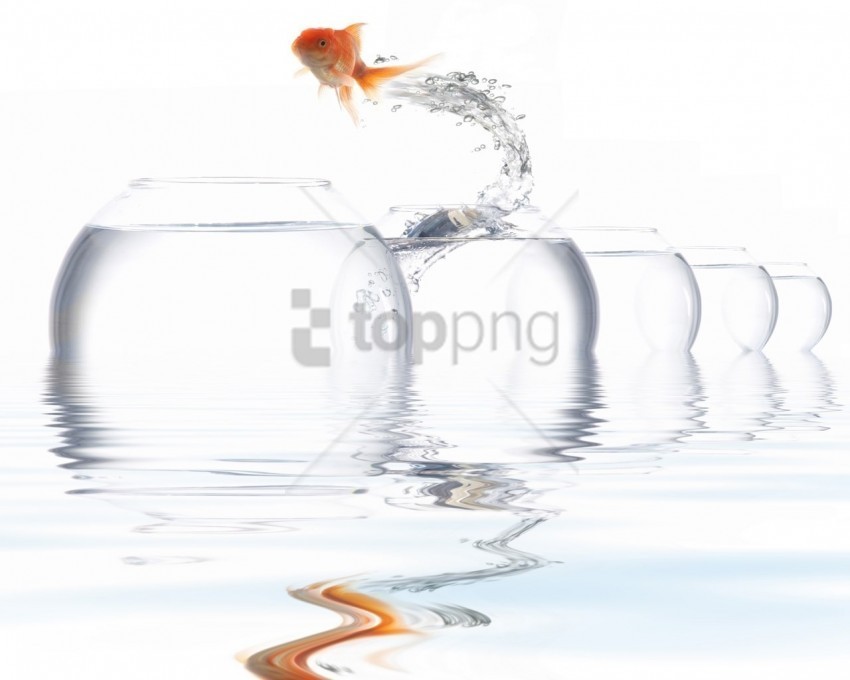 aquariums fish jump water wallpaper Clear Background PNG Isolated Design