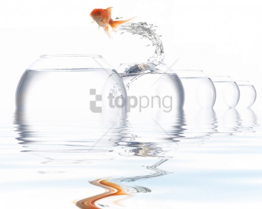 Aquariums Fish Jump Water Wallpaper Clear Background PNG Isolated Design