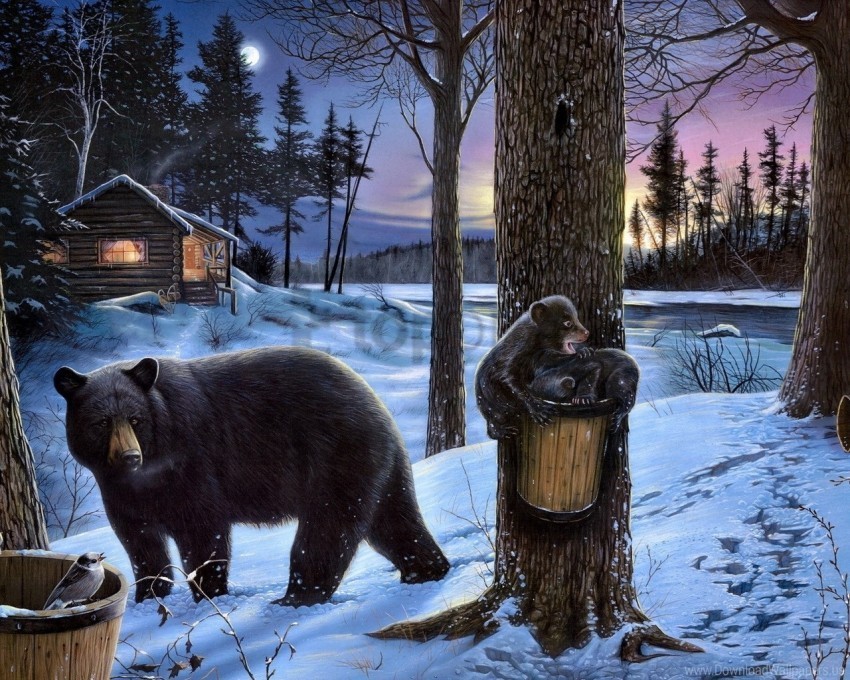 bear bears eating family forest house walking wallpaper PNG images with alpha transparency wide collection