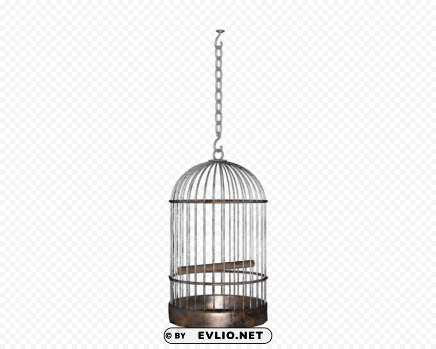 bird cage PNG for educational projects
