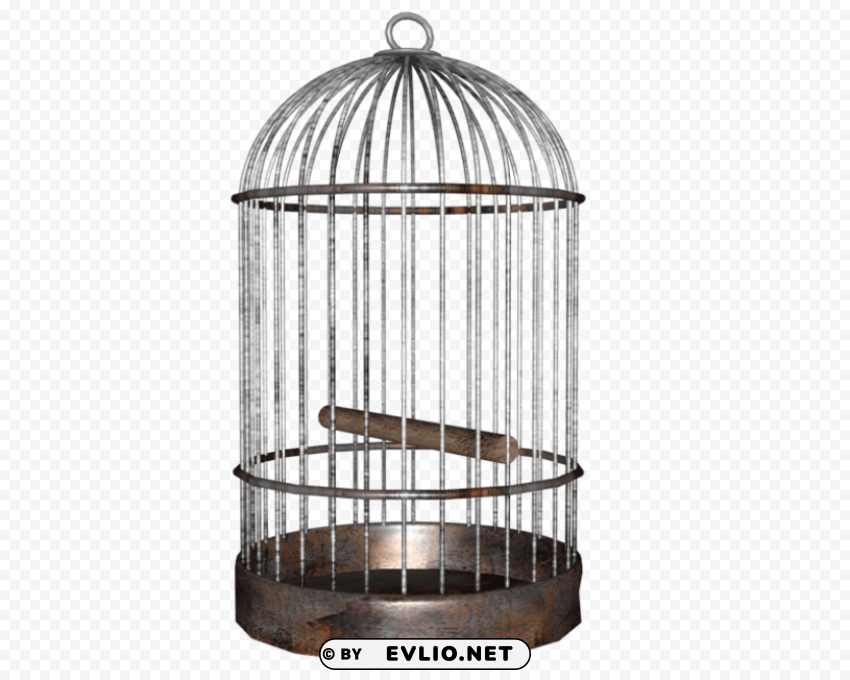 bird cage PNG for presentations