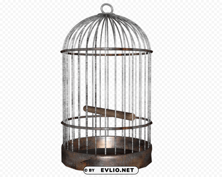 Bird Cage PNG For Presentations