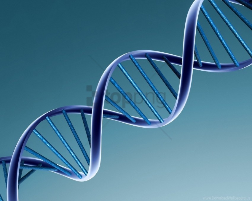 blue dna mesh spiral wallpaper Isolated Subject in Clear Transparent PNG