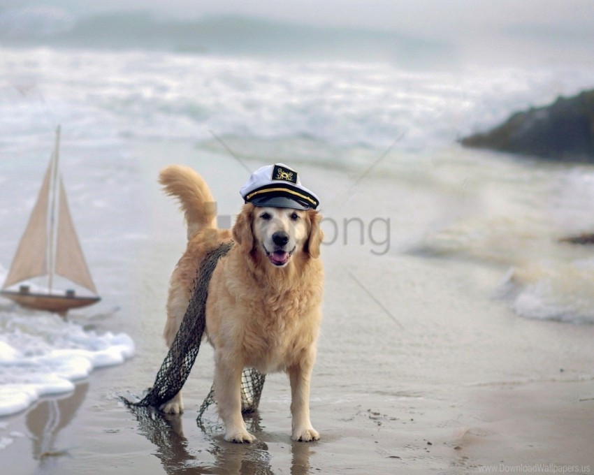 cap dog network sea ship wallpaper PNG Image with Isolated Artwork