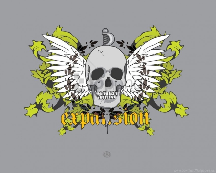 color illustration light skull wings wallpaper PNG images alpha transparency