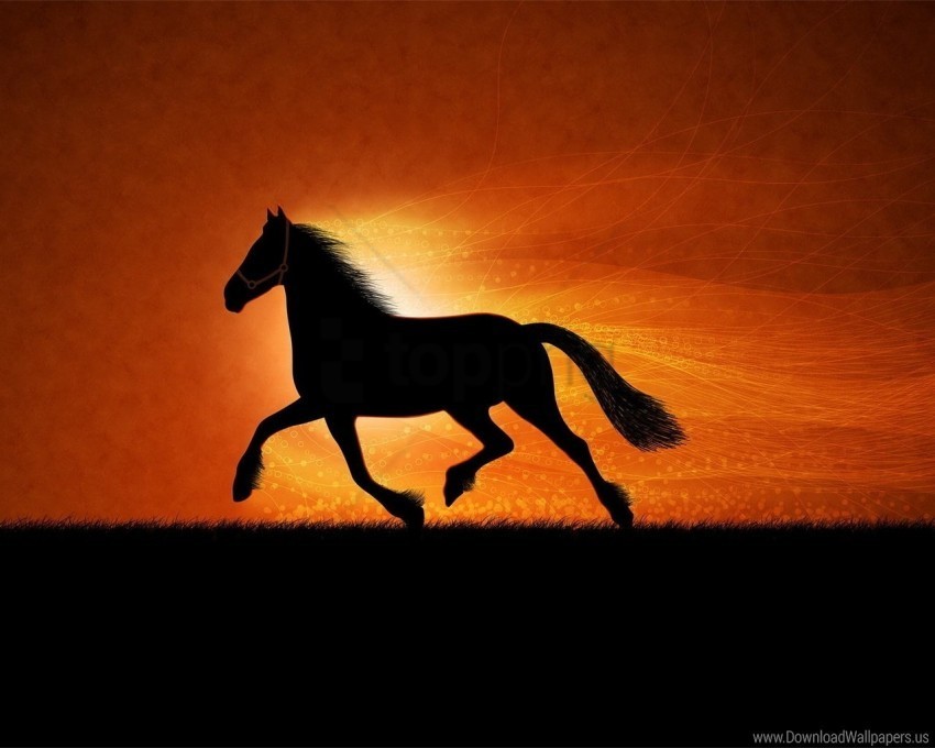 drawing horse night shadow wallpaper PNG with transparent bg