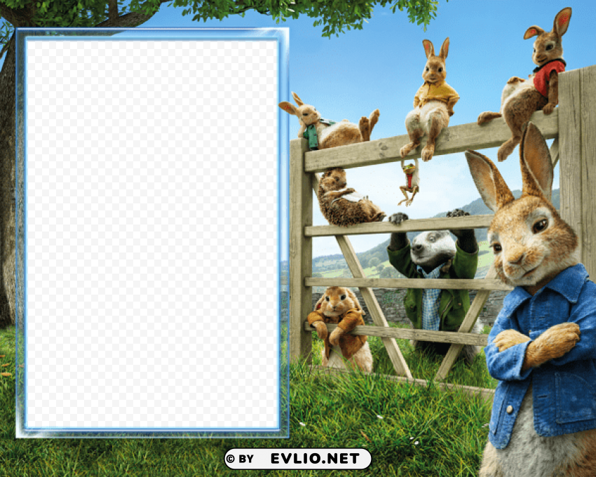 peter rabbitframe Free PNG file
