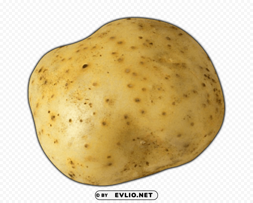 potato image PNG with no background diverse variety