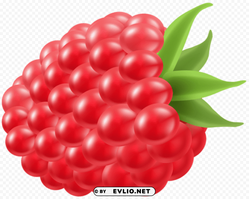 raspberry PNG Object Isolated with Transparency