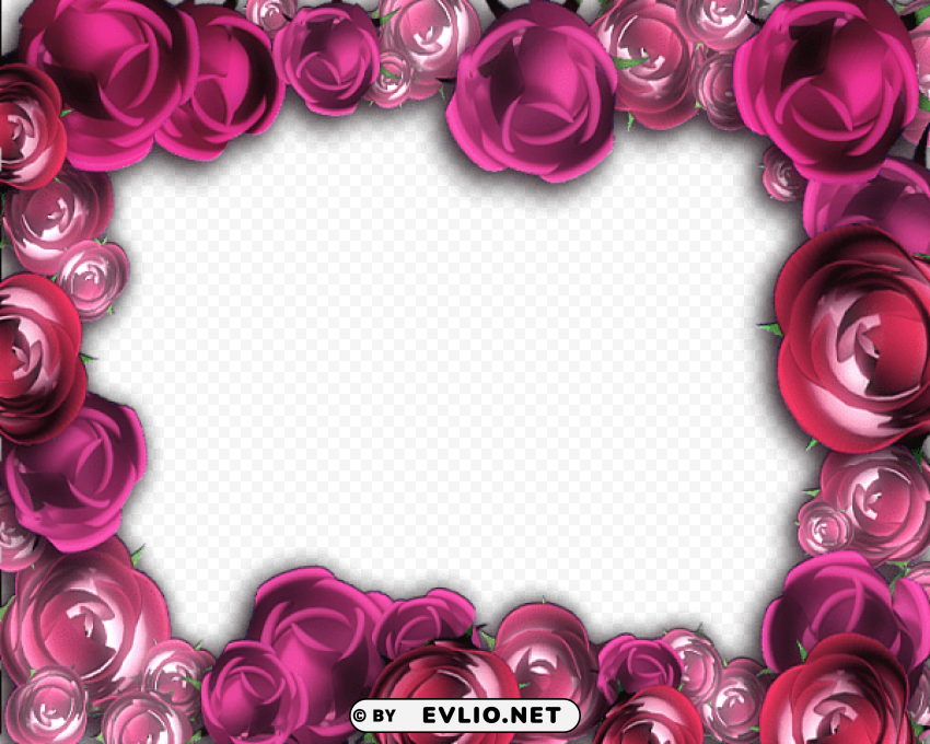  Pink Roses Frame PNG Transparent Artwork
