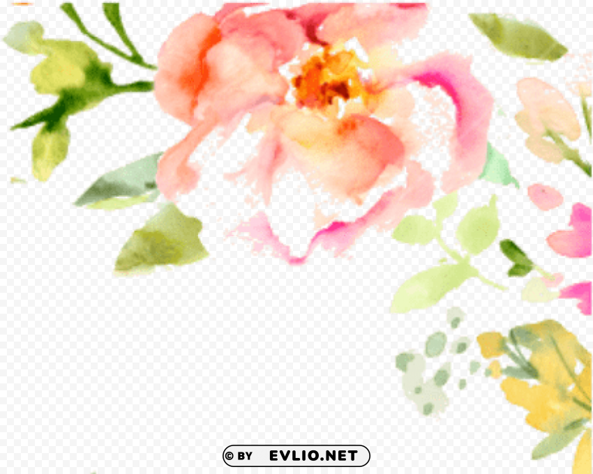 Watercolor Flowers Border Free Isolated Item On HighResolution Transparent PNG