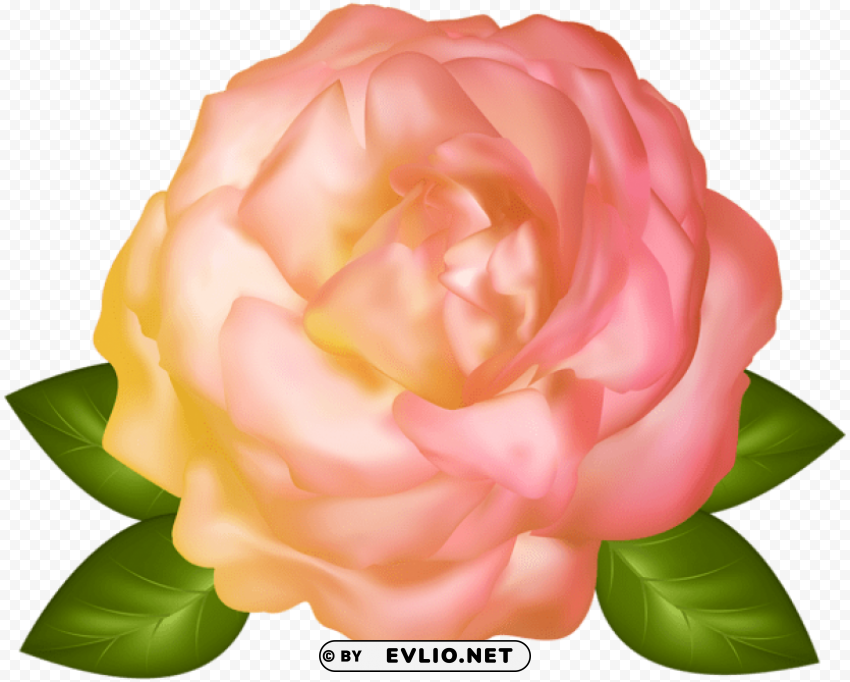 PNG image of beautiful yellow rose PNG files with transparent canvas collection with a clear background - Image ID f7f80e60
