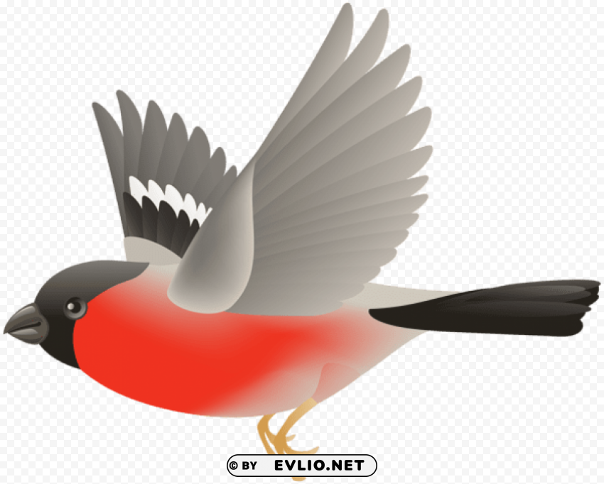 red flying bird Isolated Character in Transparent PNG