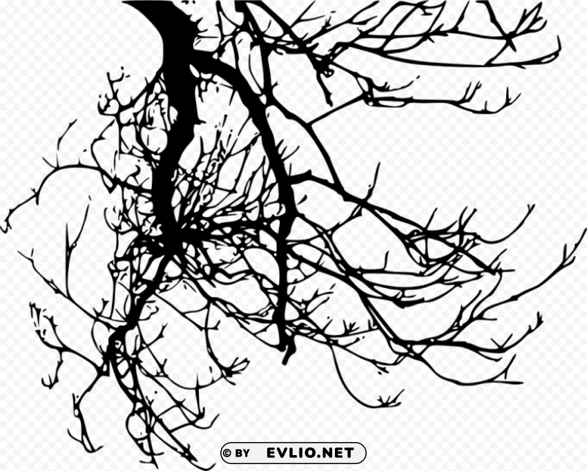 tree branches silhouette HighResolution Transparent PNG Isolation