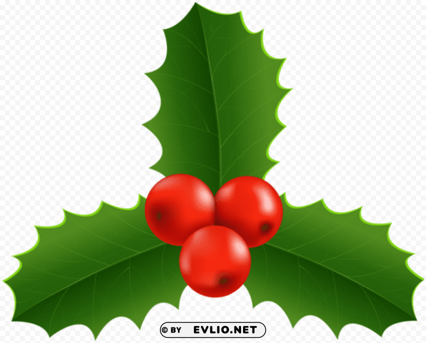 christmas holly Transparent PNG illustrations