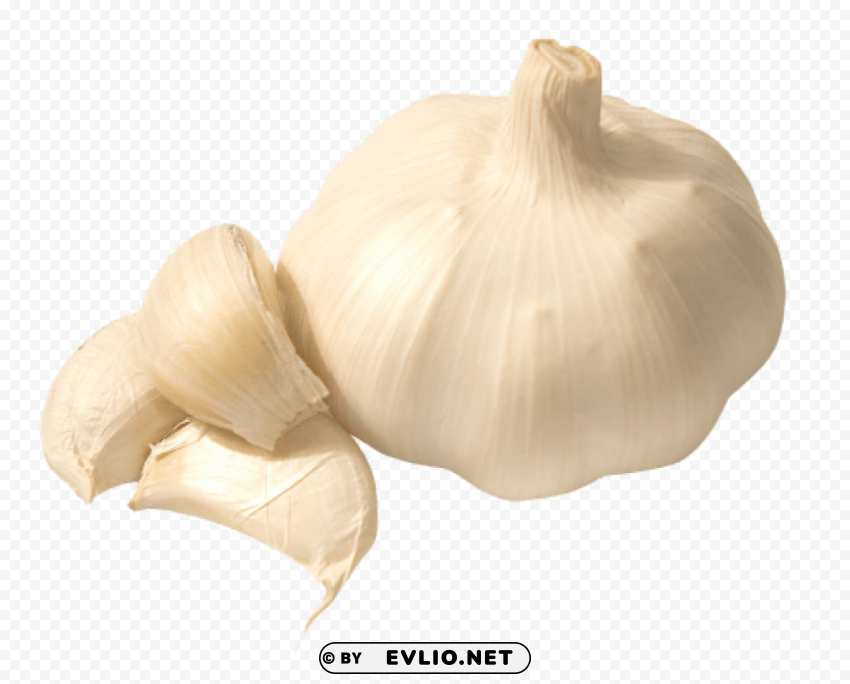 garlic Clear PNG pictures broad bulk