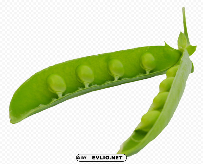 green peas pods Free PNG download