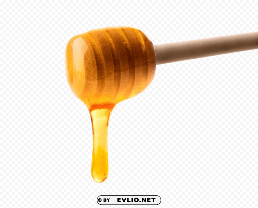 honey transparent PNG Image with Clear Background Isolated