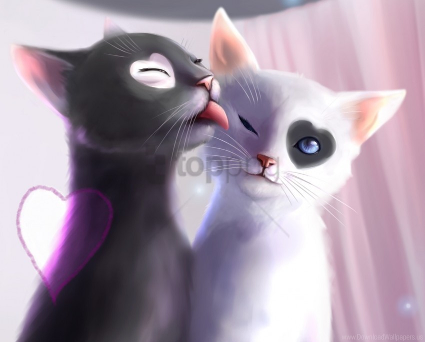art cats kittens tenderness wallpaper PNG images with no limitations