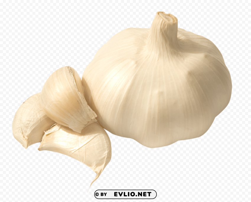 Garlic Transparent PNG Isolated Graphic With Clarity