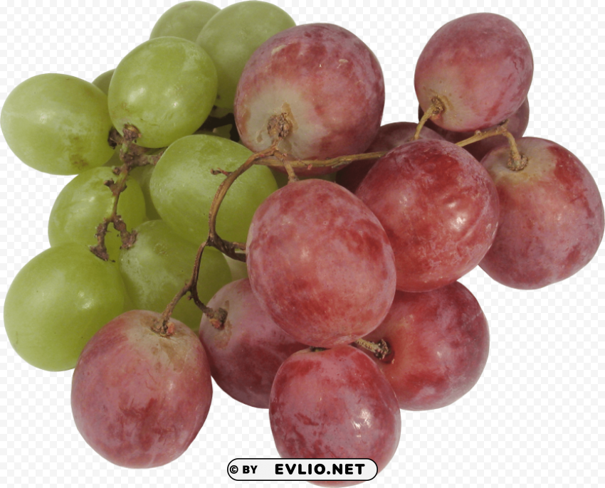 grapes PNG with clear background set