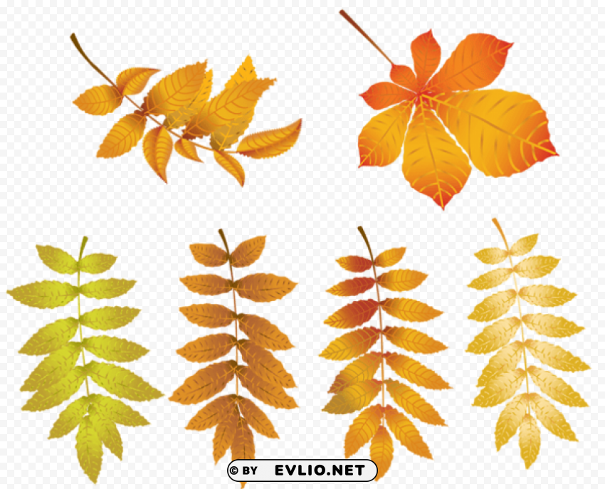 Autumn Leaves Isolated Graphic On Clear Background PNG