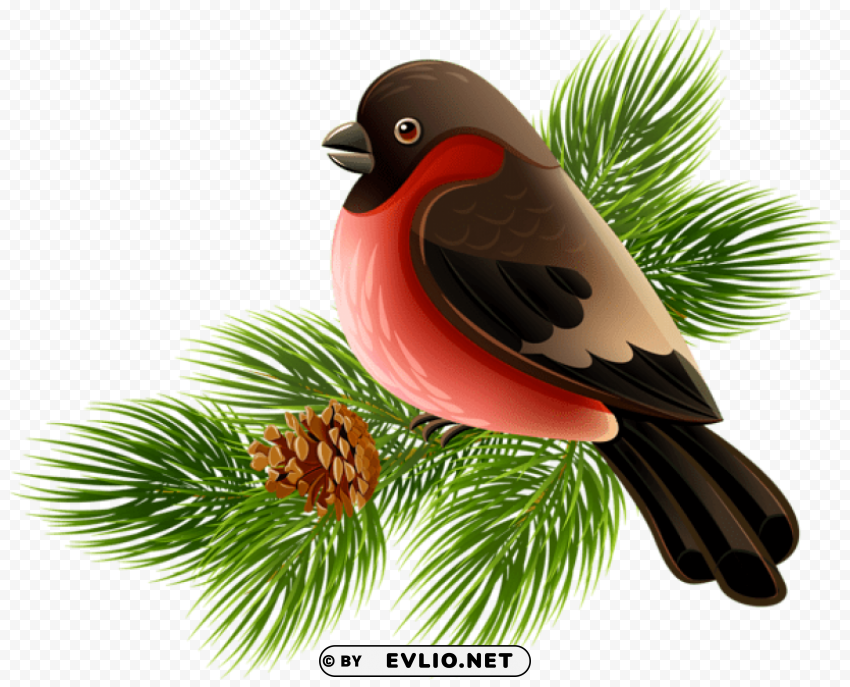 bird and pine branch Isolated Character in Transparent Background PNG