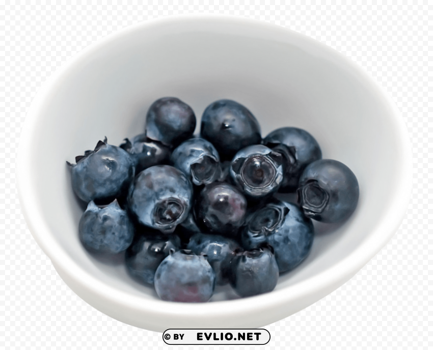 Blueberries in Bowl Isolated Illustration with Clear Background PNG