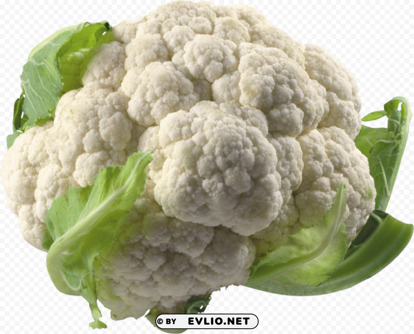 cauliflower PNG images with high transparency