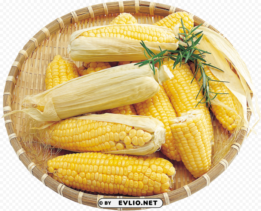 corn Transparent PNG Isolated Graphic Detail
