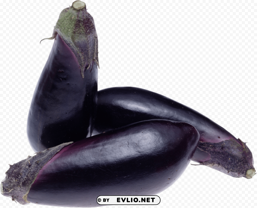 eggplant Transparent PNG graphics variety