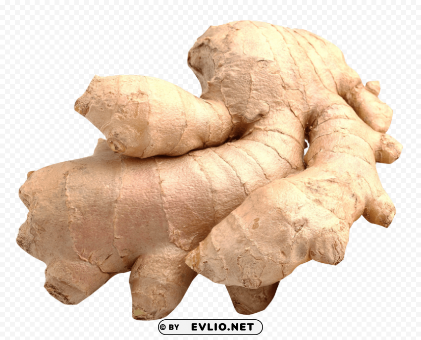 ginger Transparent PNG images collection PNG images with transparent backgrounds - Image ID f2287224