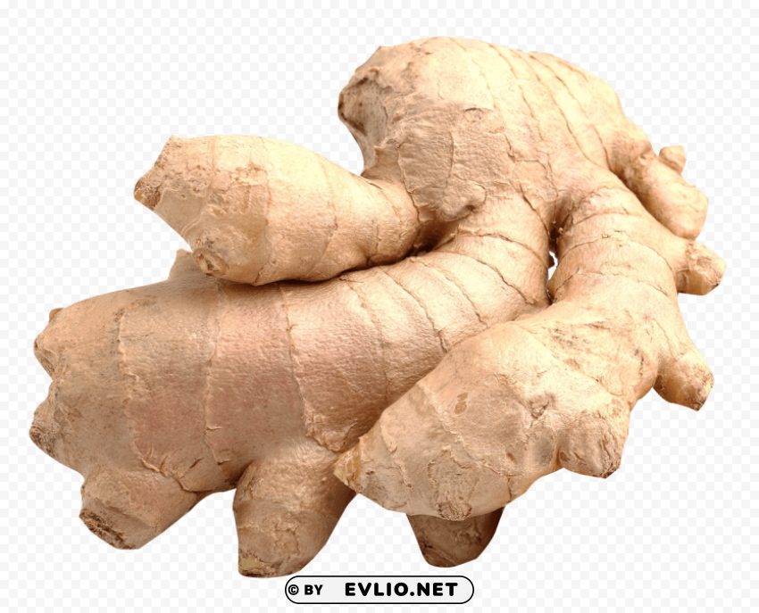 ginger Transparent Background Isolation in HighQuality PNG
