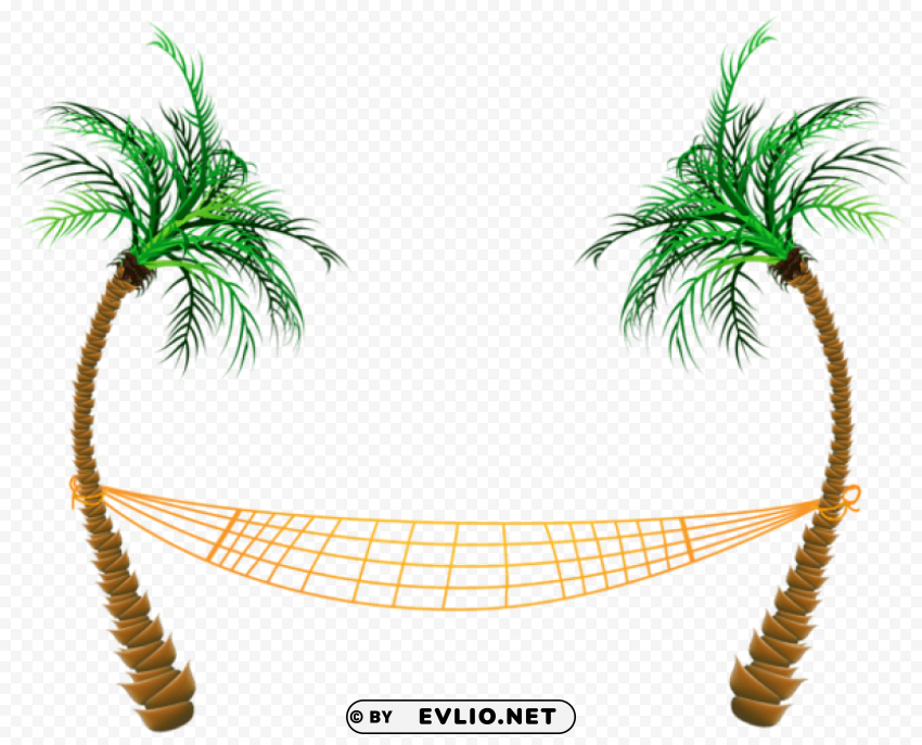  palm beach hammock PNG files with transparent canvas extensive assortment
