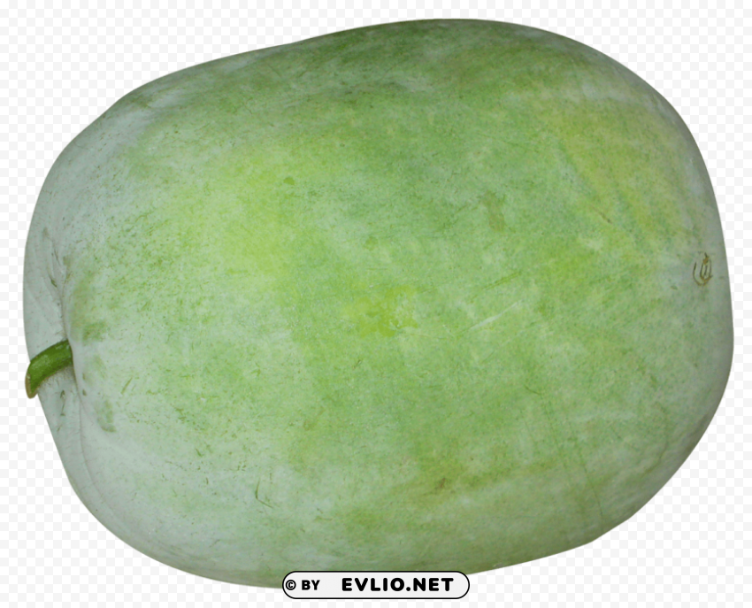 winter melon Clear background PNG clip arts