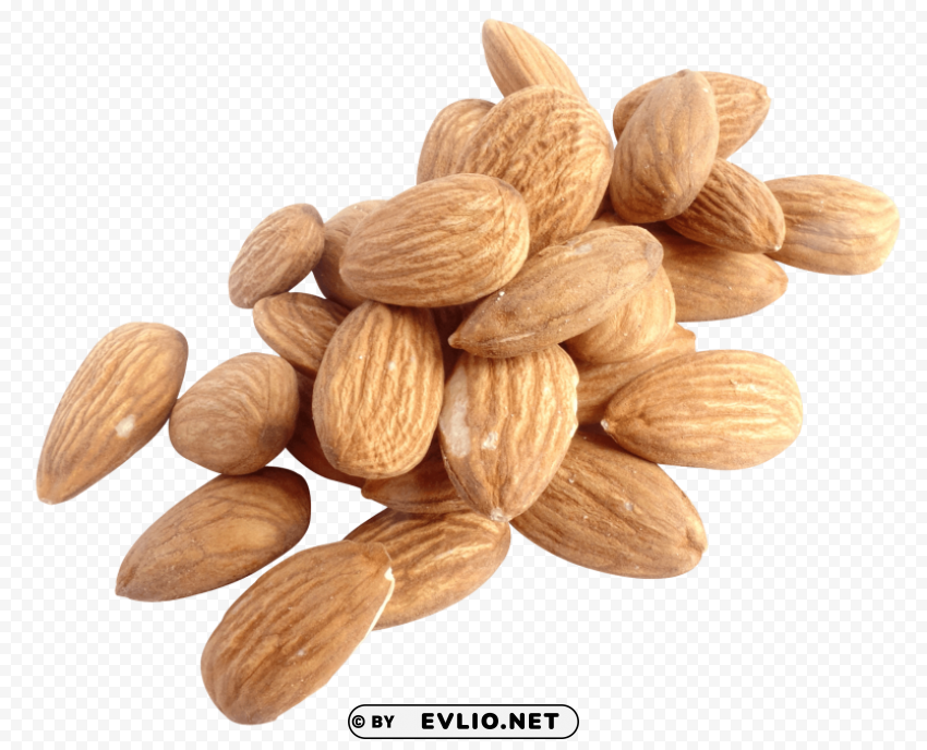 Almond Free PNG images with alpha channel set