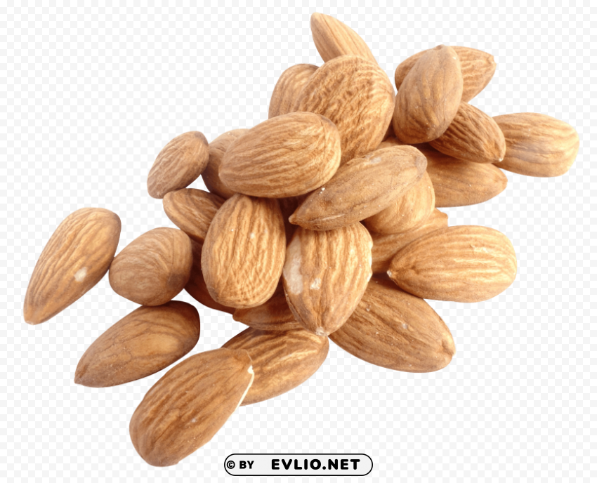 Almond Free PNG Images With Alpha Channel Set