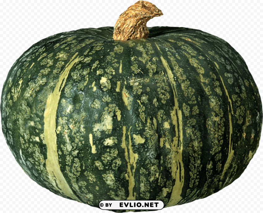 pumpkin PNG with clear overlay PNG images with transparent backgrounds - Image ID 0fb5b951