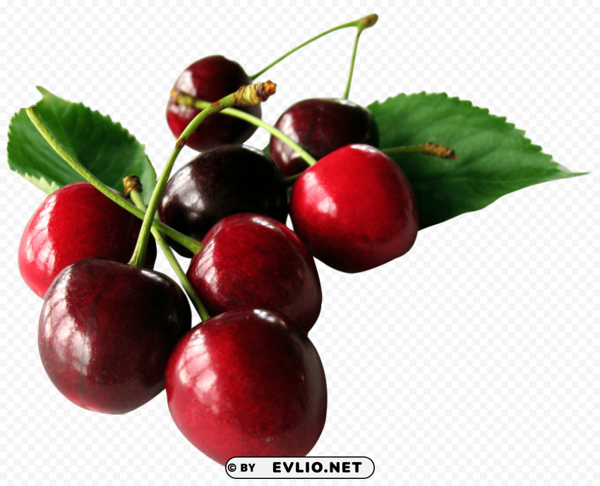 cherries with leaf PNG photo without watermark