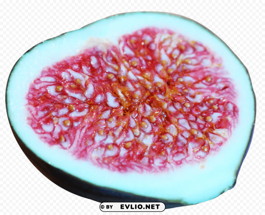 Fig Isolated Design on Clear Transparent PNG