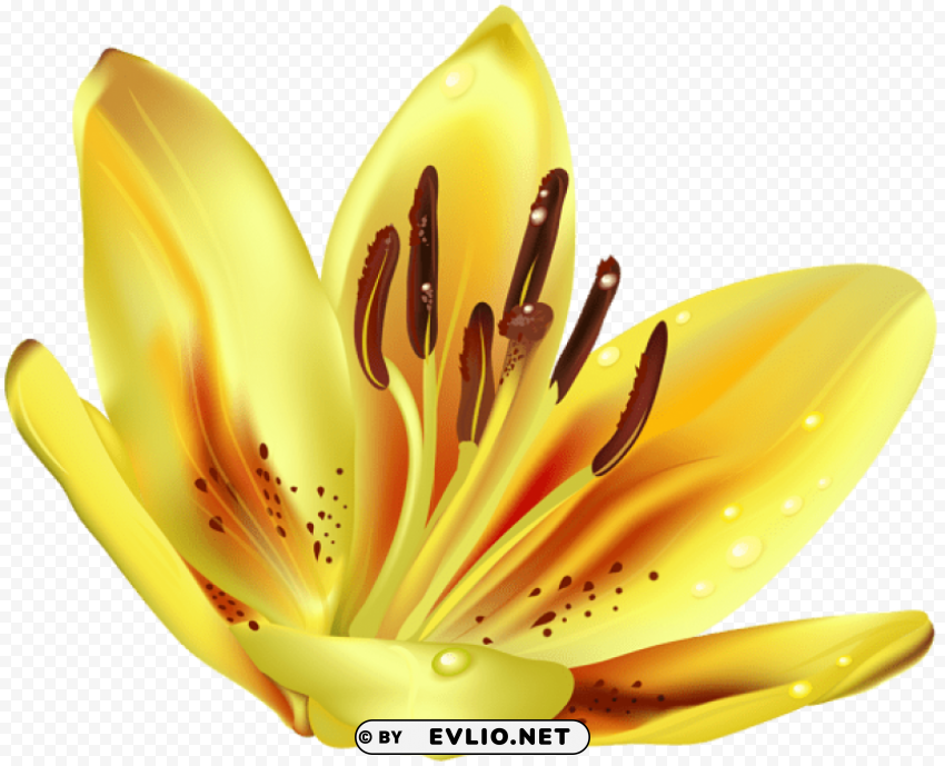 Flower Yellow Transparent PNG With Clear Background Set