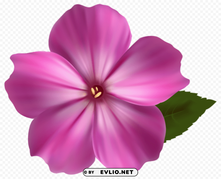 pink flower Transparent PNG Isolated Subject Matter