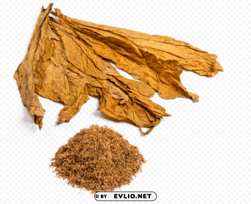 tobacco Isolated Graphic on Clear Background PNG
