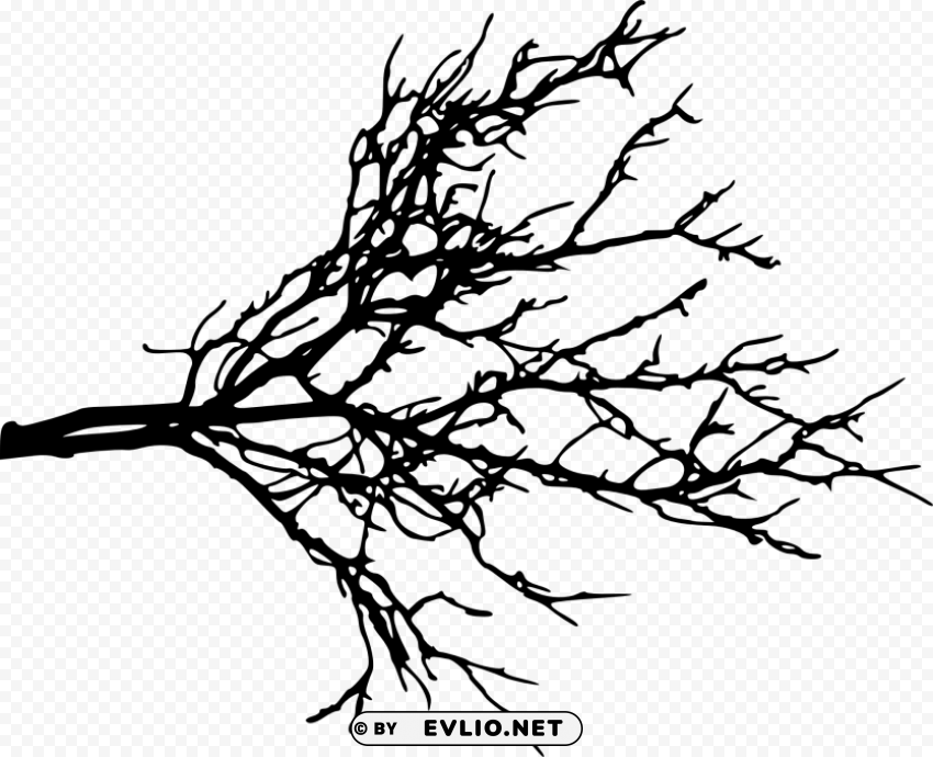 tree branch Isolated Design Element in Clear Transparent PNG