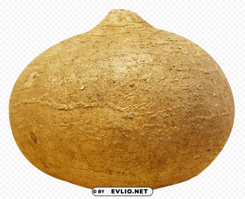 jicama Free PNG images with transparent layers compilation