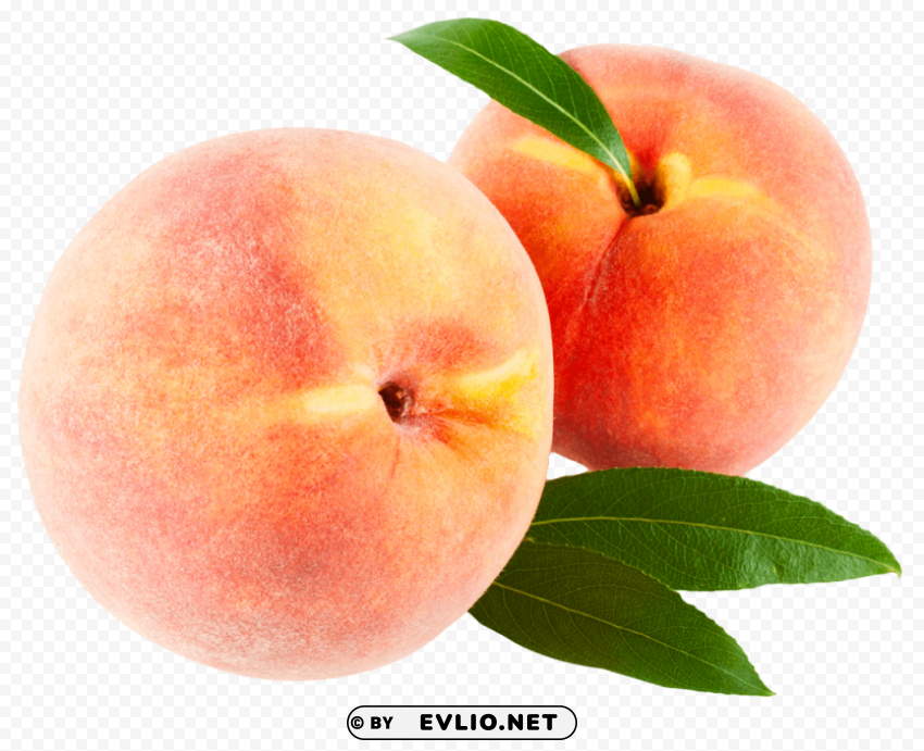 Peach with Leaves Isolated Artwork on Transparent Background PNG
