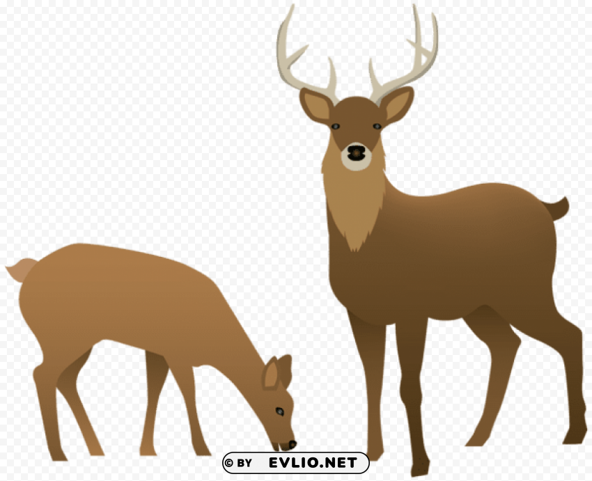 stag and doe PNG files with no backdrop wide compilation