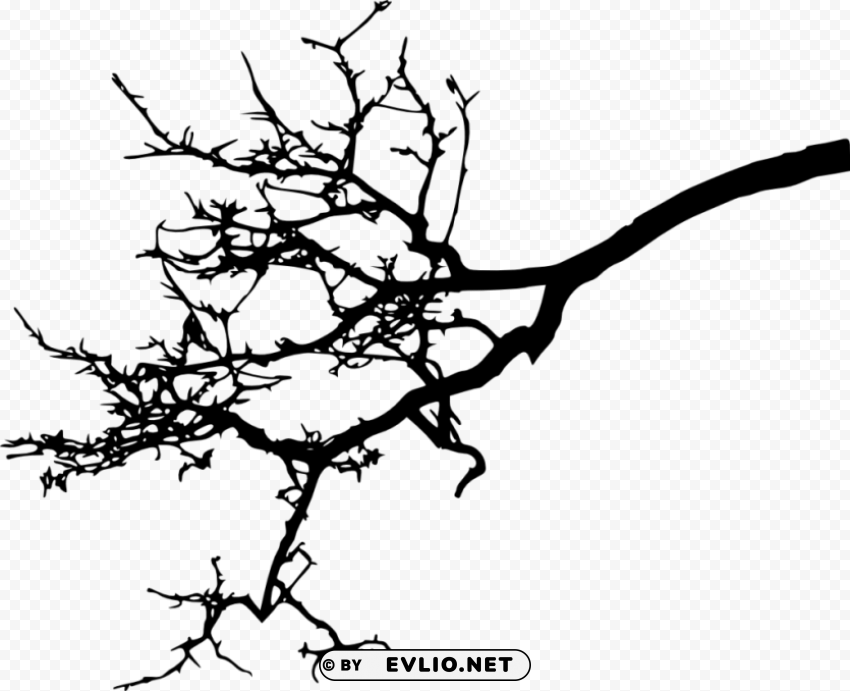 tree branch silhouette Transparent PNG graphics complete archive